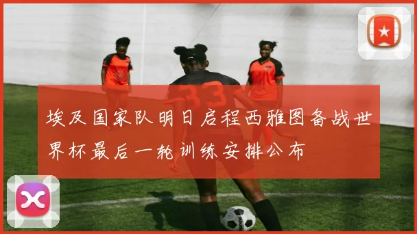 埃及国家队明日启程西雅图备战世界杯最后一轮训练安排公布