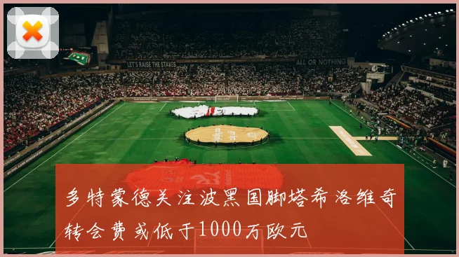 多特蒙德关注波黑国脚塔希洛维奇转会费或低于1000万欧元