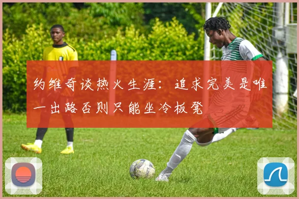 约维奇谈热火生涯：追求完美是唯一出路否则只能坐冷板凳