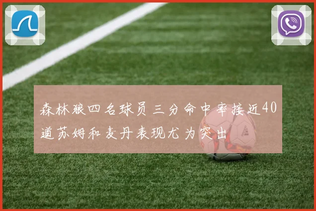 森林狼四名球员三分命中率接近40道苏姆和麦丹表现尤为突出
