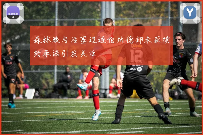 森林狼与活塞追逐伦纳德却未获续约承诺引发关注